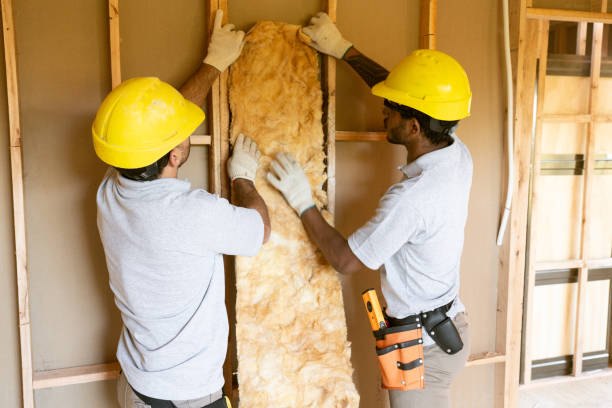 Best Insulation for Existing Homes  in USA